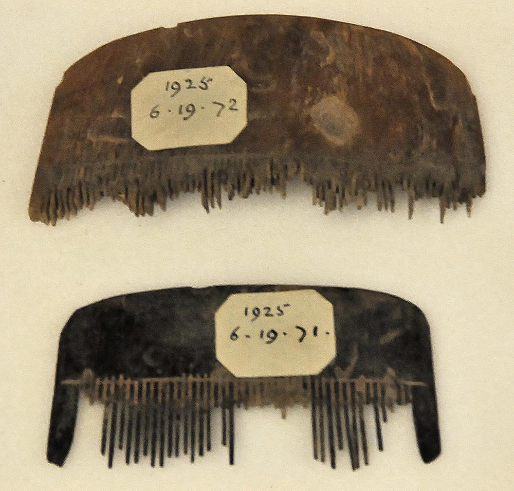 图片[3]-comb BM-1925-0619.72-China Archive