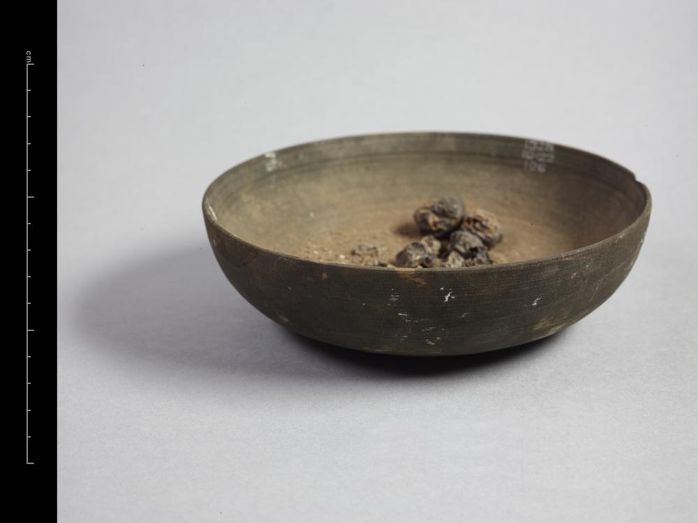 图片[1]-food product; vegetal remains(?) BM-1928-1022.106.b-China Archive