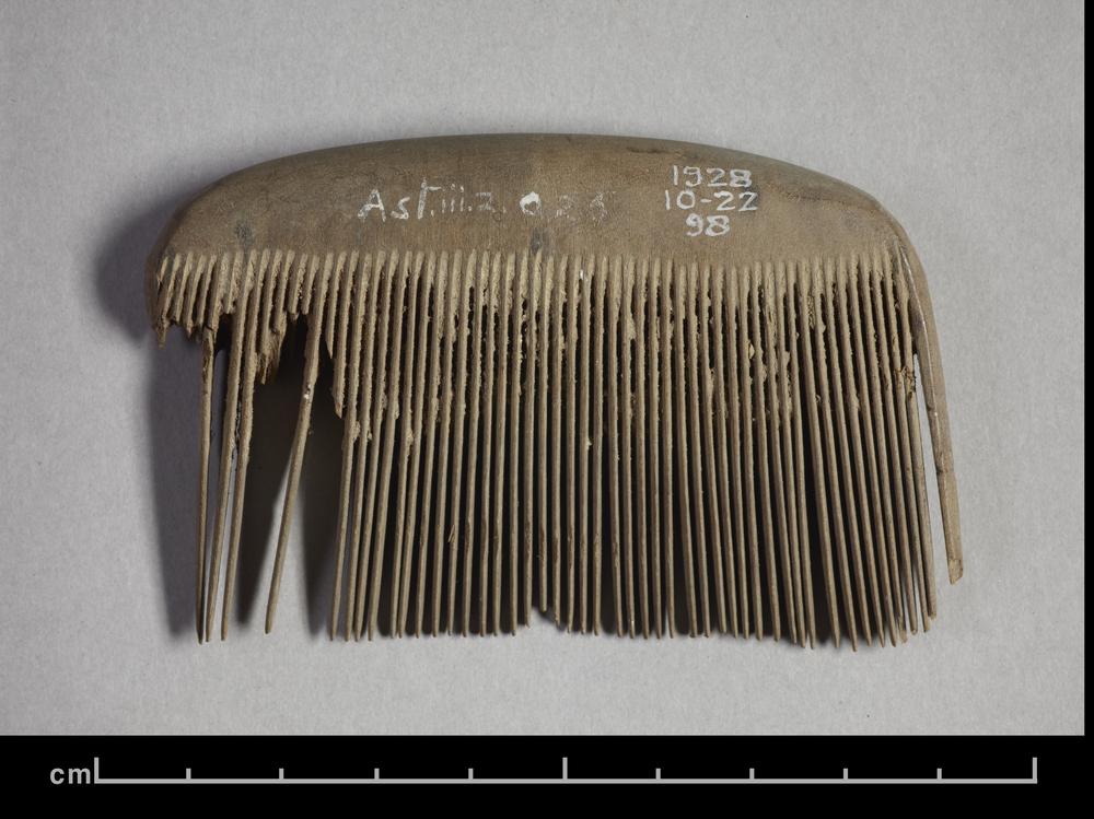 图片[1]-comb BM-1928-1022.98-China Archive