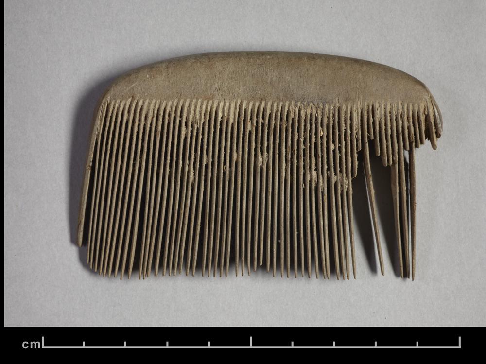 图片[2]-comb BM-1928-1022.98-China Archive