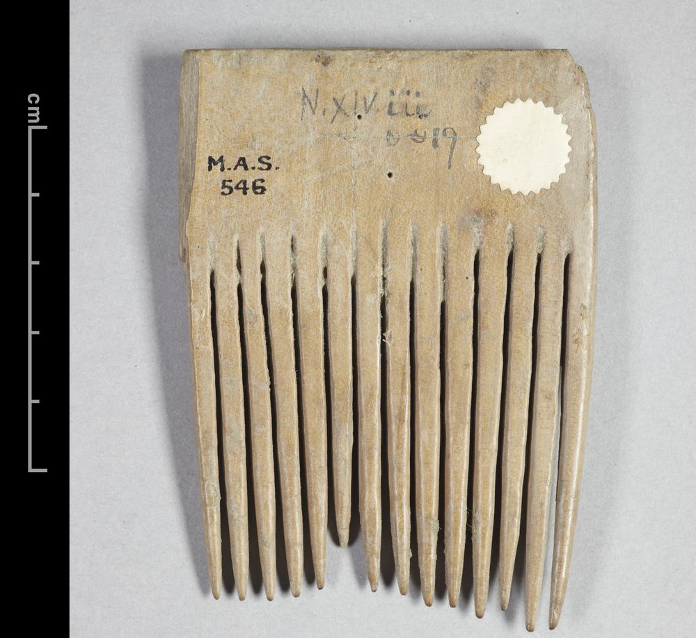 图片[1]-comb; 梳子(Chinese) BM-MAS.546-China Archive