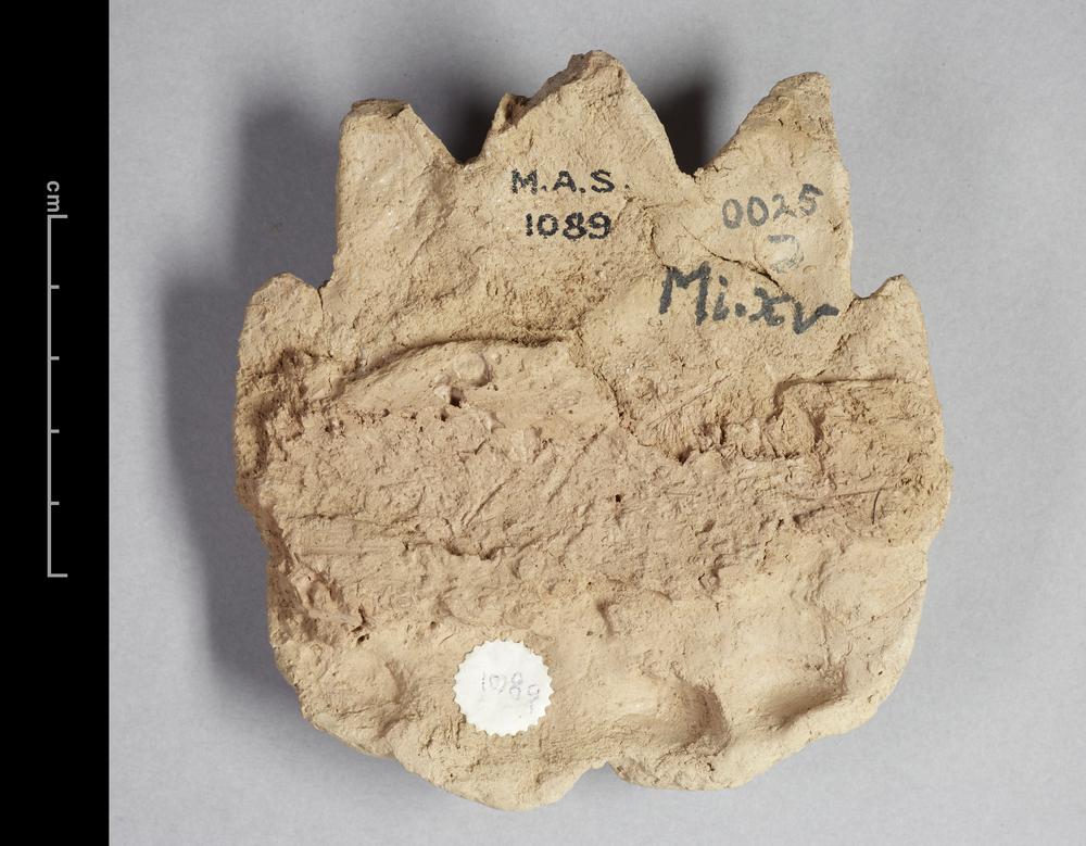 图片[2]-ornament BM-MAS.1089-China Archive