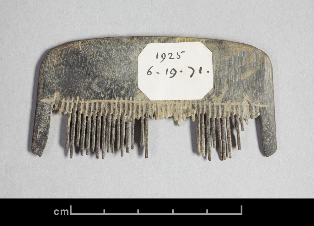 图片[1]-comb BM-1925-0619.71-China Archive