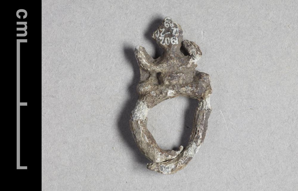 图片[1]-ring(?) BM-1902-1220.89-China Archive