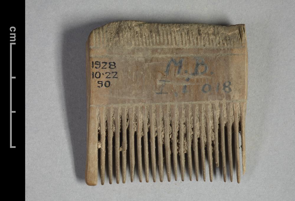 图片[1]-comb BM-1928-1022.90-China Archive