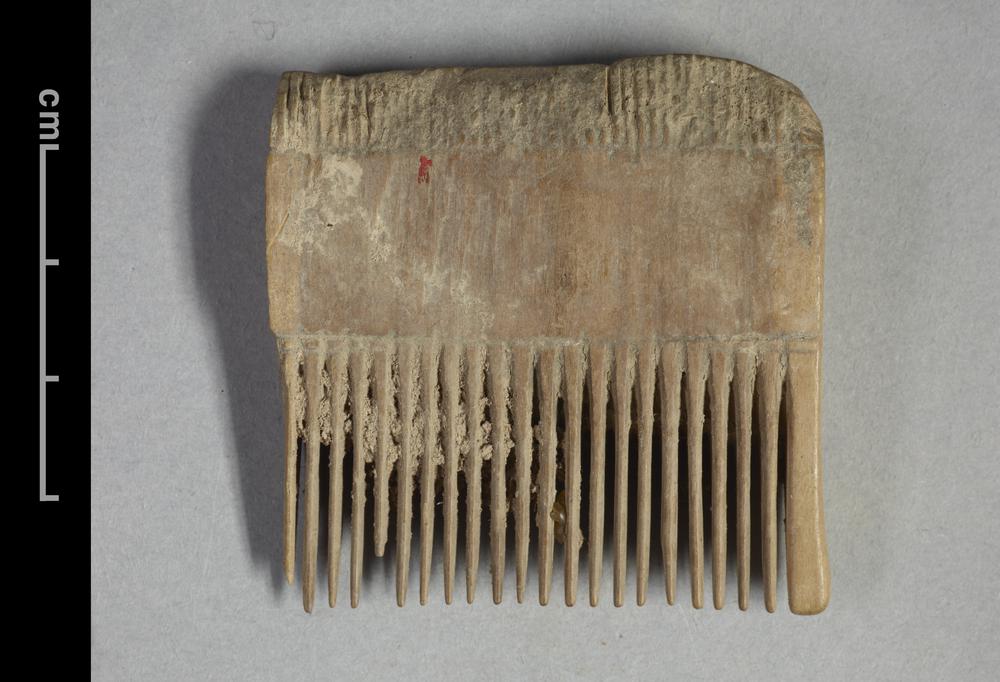 图片[2]-comb BM-1928-1022.90-China Archive