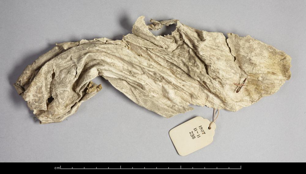 图片[1]-artefact(?); animal remains(?) BM-1907-1111.238-China Archive