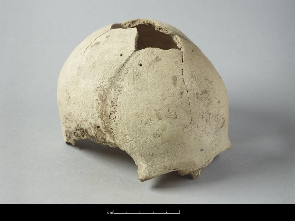 图片[1]-human skeletal remains BM-1902-1220.541-China Archive