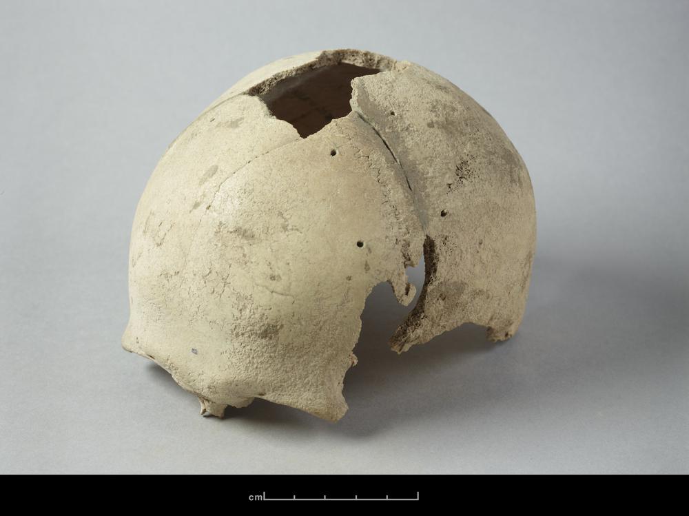 图片[2]-human skeletal remains BM-1902-1220.541-China Archive