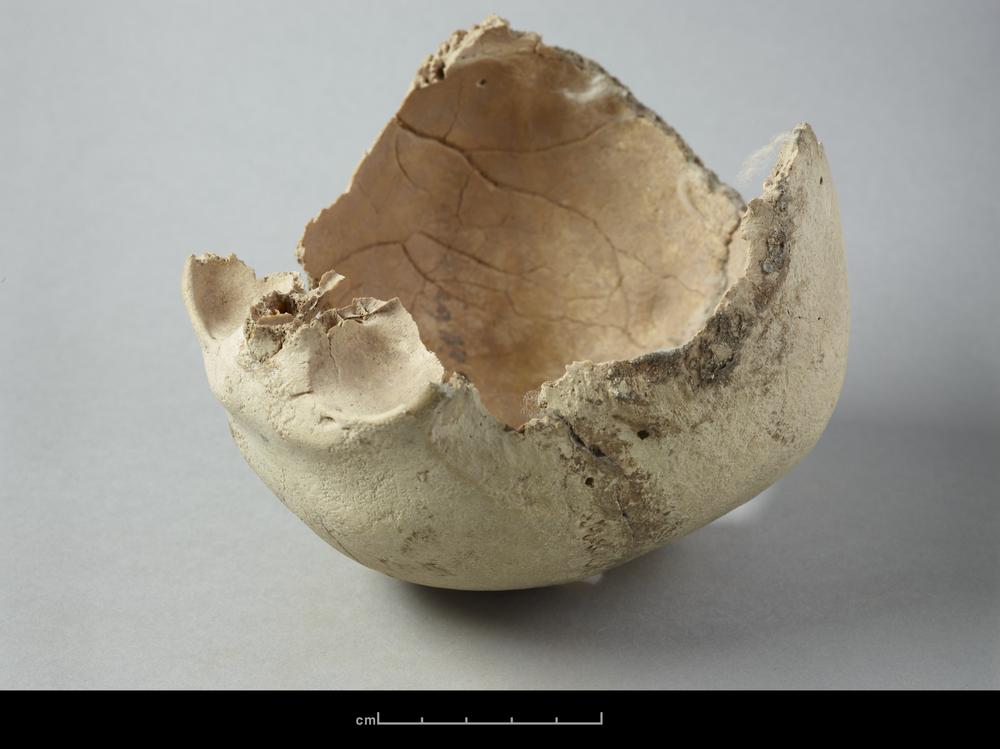 图片[4]-human skeletal remains BM-1902-1220.541-China Archive