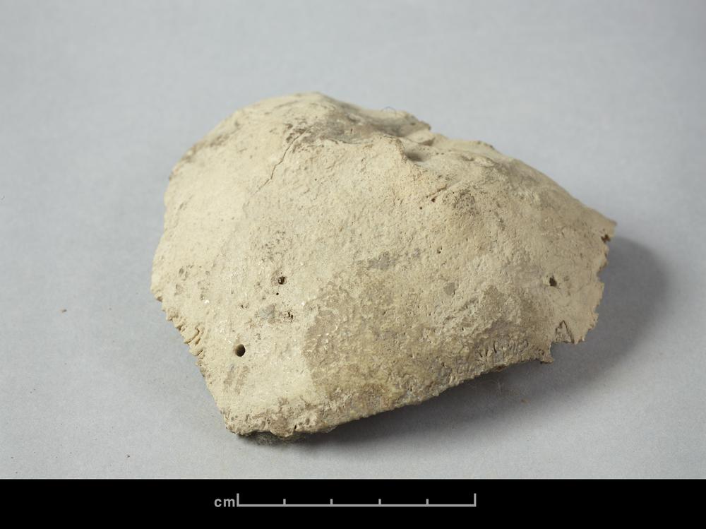 图片[5]-human skeletal remains BM-1902-1220.541-China Archive