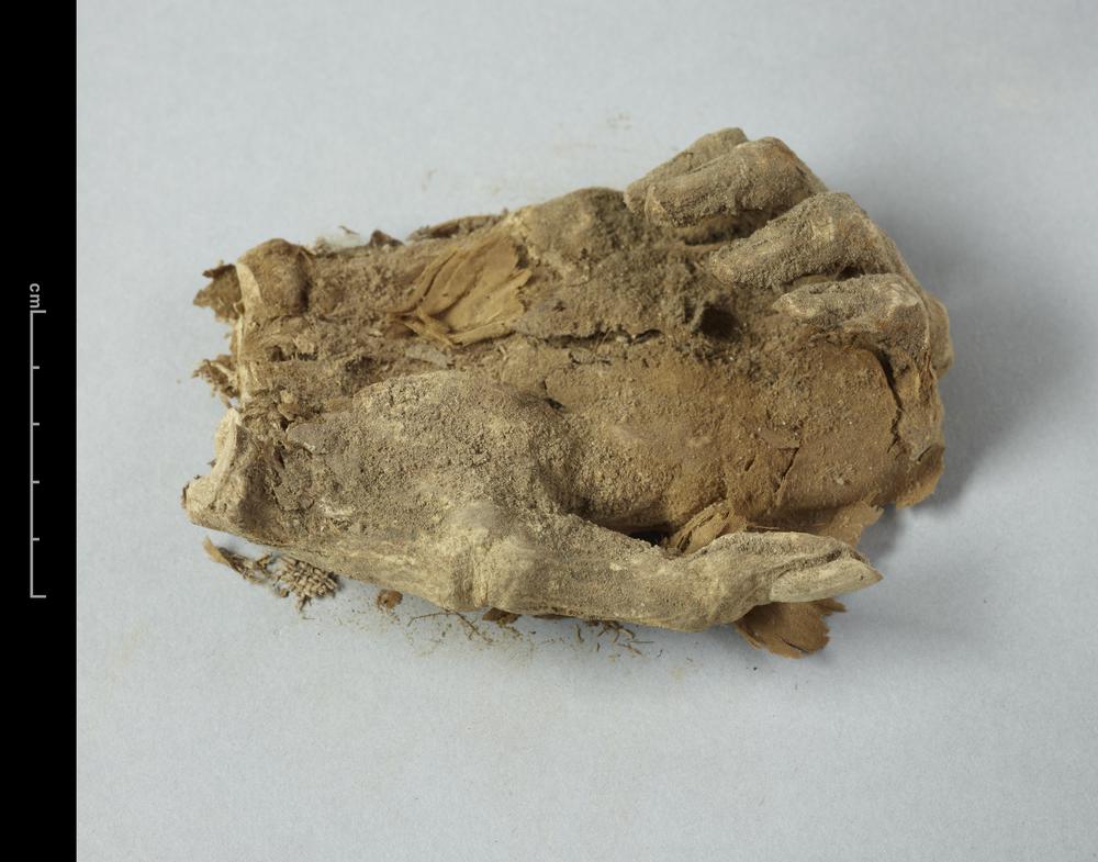 图片[2]-human skeletal remains; human mummy; textile BM-1928-1022.121-China Archive