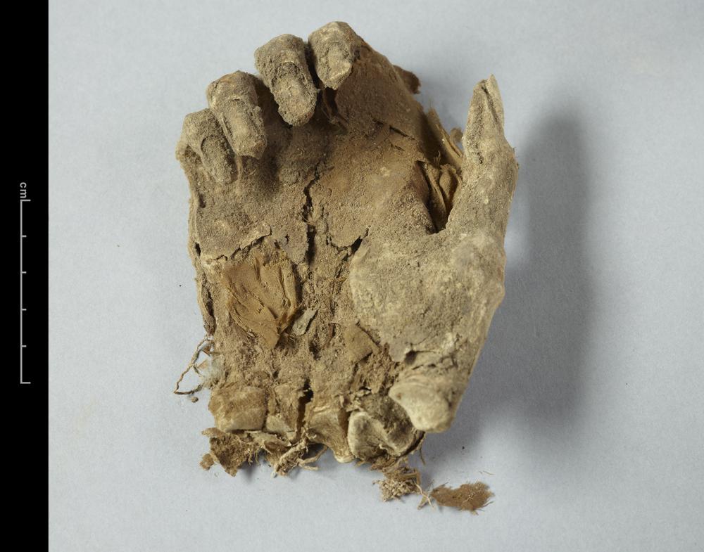 图片[3]-human skeletal remains; human mummy; textile BM-1928-1022.121-China Archive