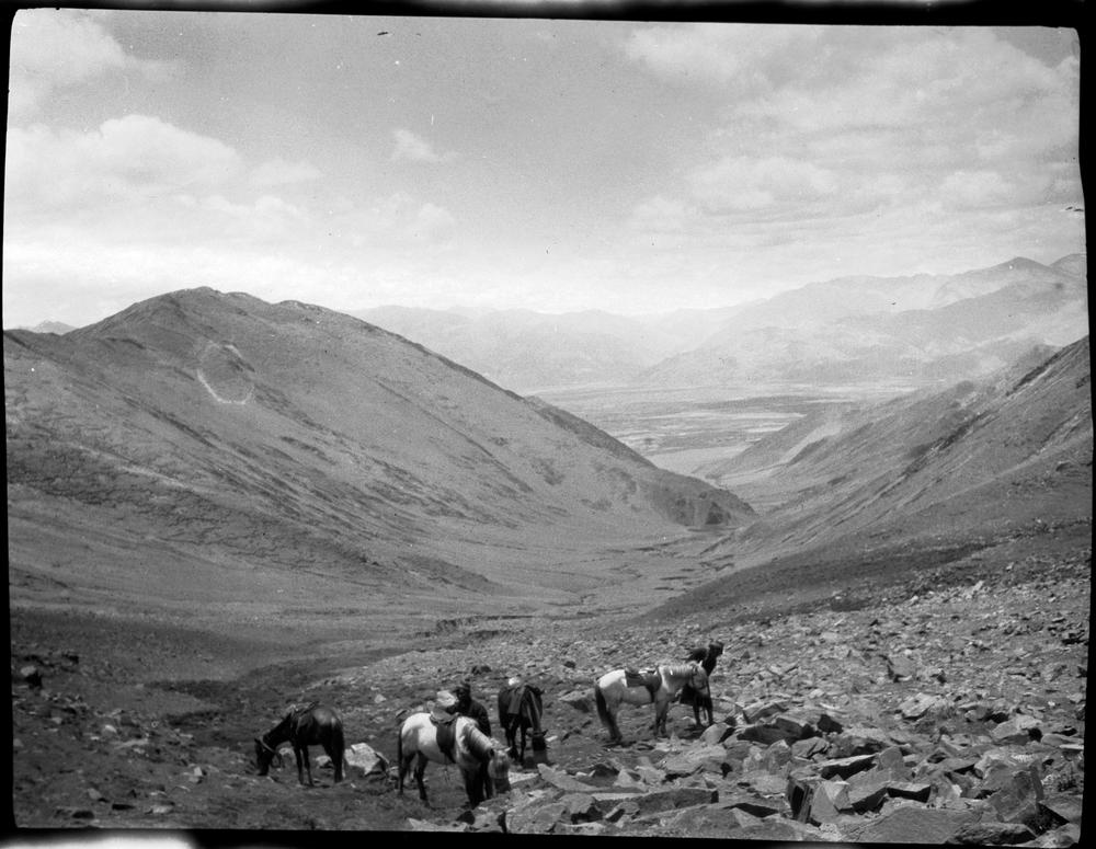 图片[1]-negative (polymer film)(black and white) BM-2015-OA+.149-China Archive