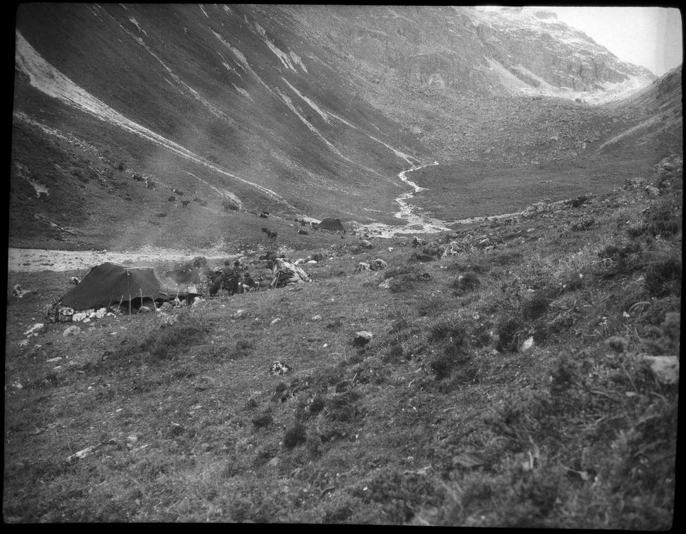 图片[1]-negative (polymer film)(black and white) BM-2015-OA+.369-China Archive