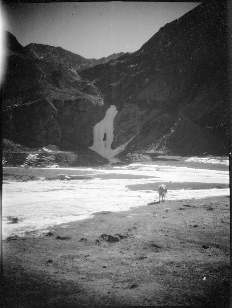 图片[1]-negative (polymer film)(black and white) BM-2015-OA+.618-China Archive