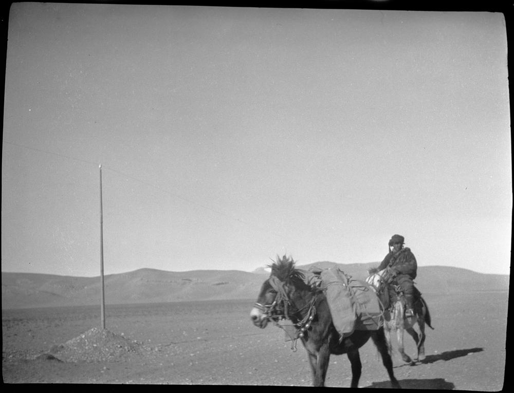 图片[1]-negative (polymer film)(black and white) BM-2015-OA+.624-China Archive