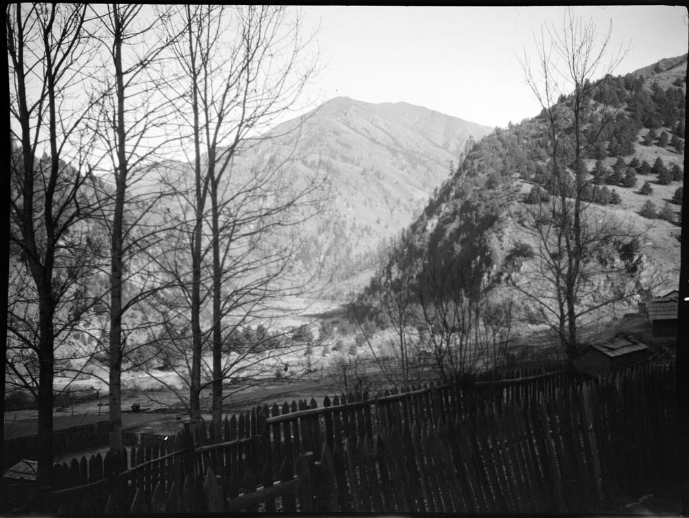 图片[1]-negative (polymer film)(black and white) BM-2015-OA+.41-China Archive