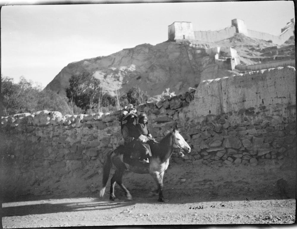 图片[1]-negative (polymer film)(black and white) BM-2015-OA+.161-China Archive