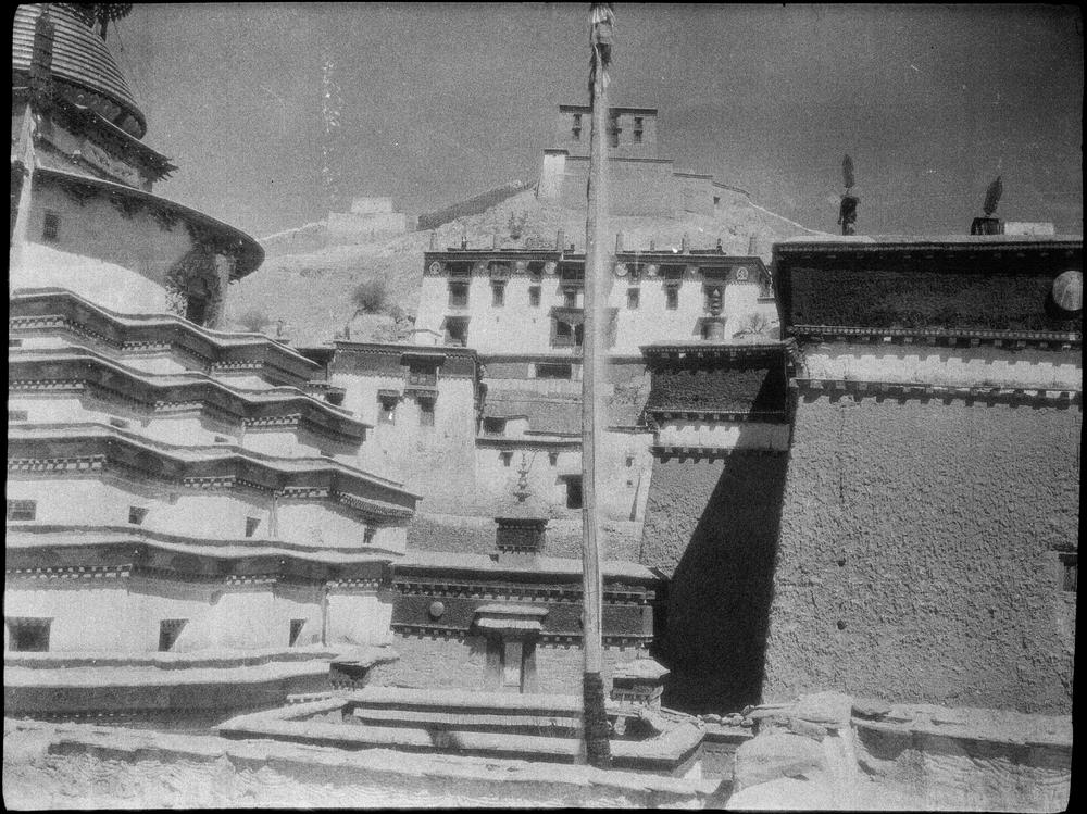 图片[1]-negative (polymer film)(black and white) BM-2015-OA+.279-China Archive