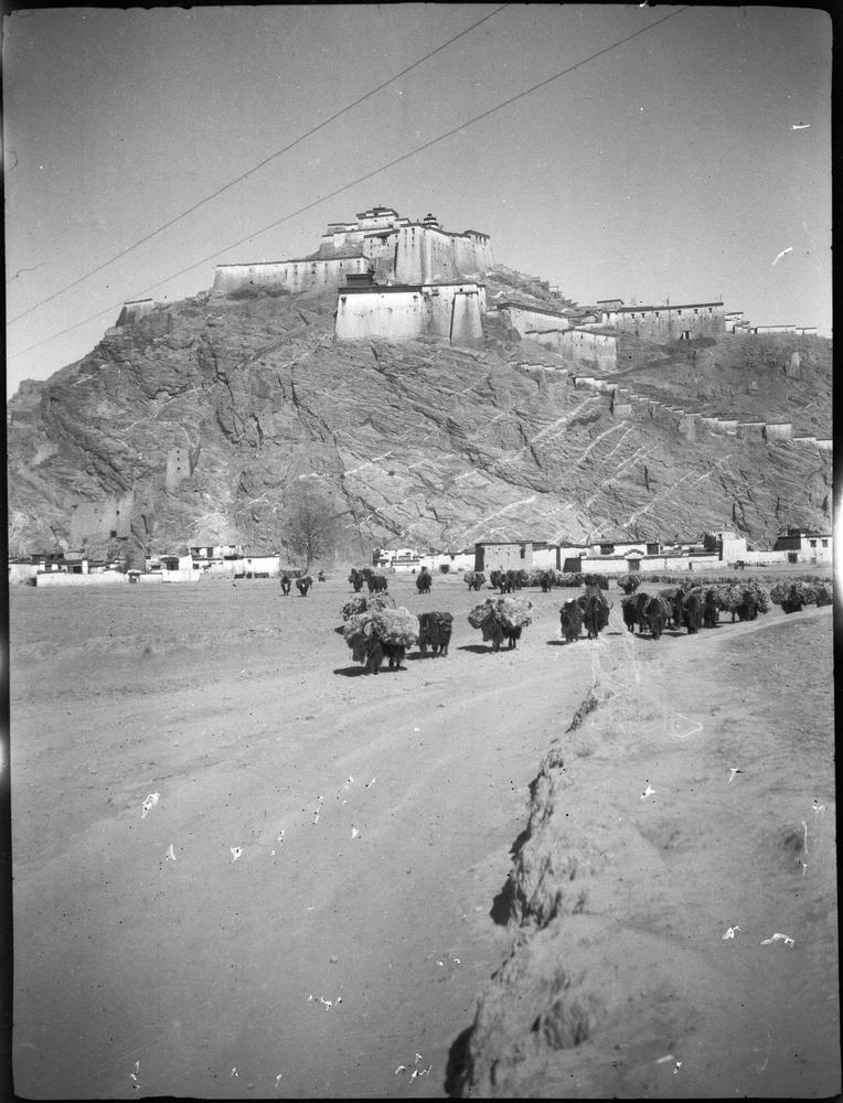 图片[1]-negative (polymer film)(black and white) BM-2015-OA+.476-China Archive