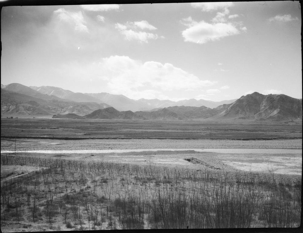 图片[1]-negative (polymer film)(black and white) BM-2015-OA+.589-China Archive