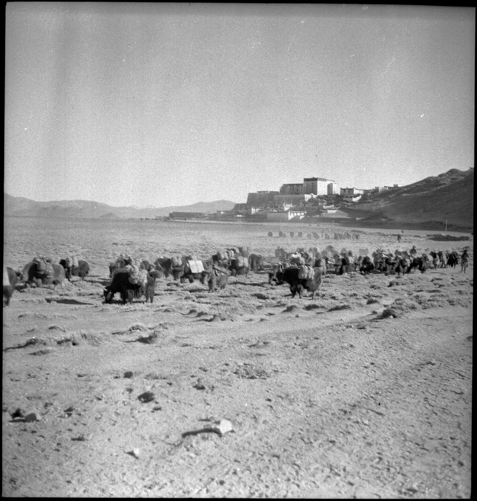 图片[1]-negative (polymer film)(black and white) BM-2015-OA+.671-China Archive