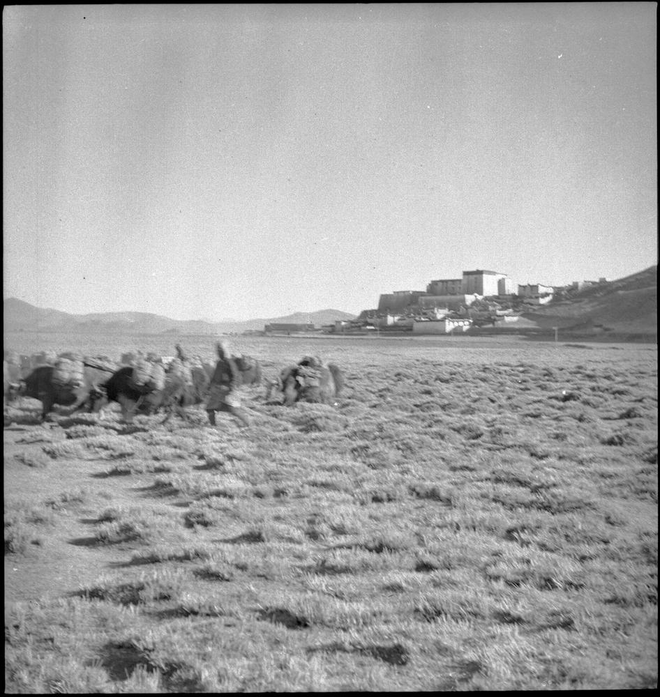 图片[1]-negative (polymer film)(black and white) BM-2015-OA+.672-China Archive