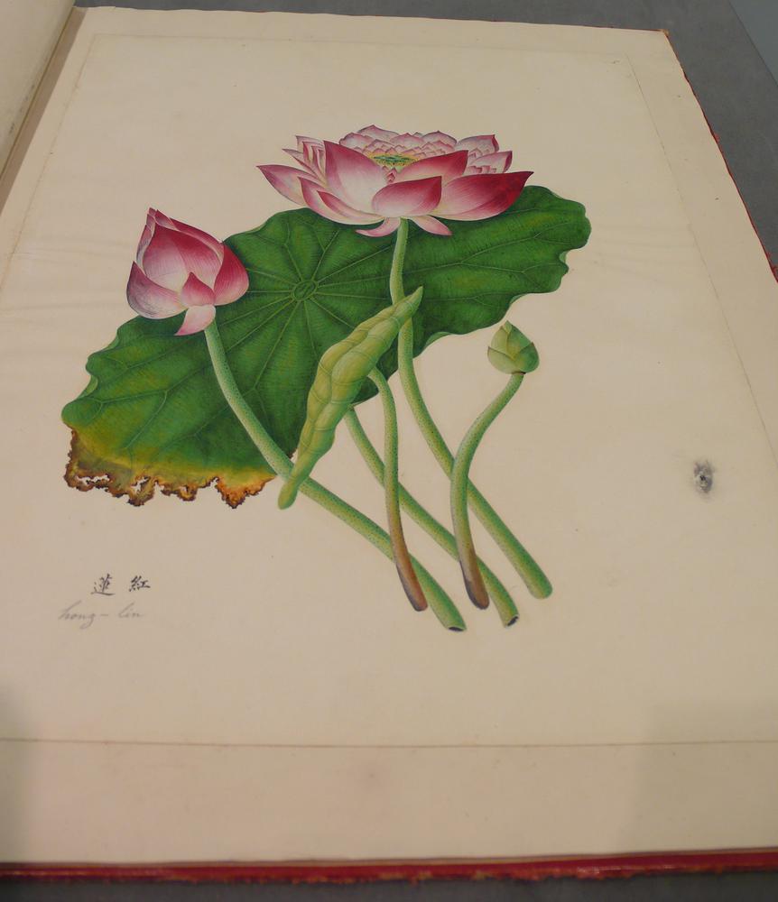 图片[5]-album; painting BM-1962-1231-0.11.1-14-China Archive