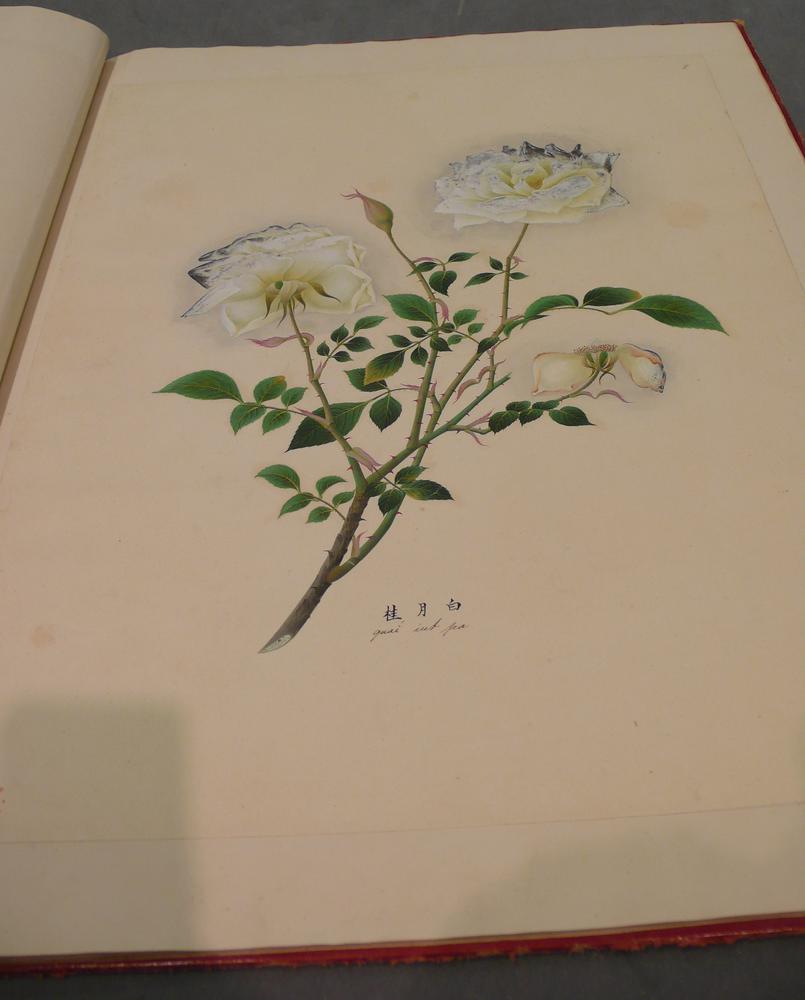 图片[8]-album; painting BM-1962-1231-0.11.1-14-China Archive