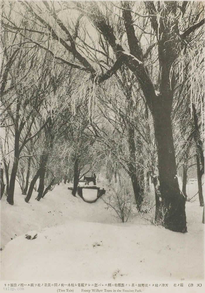 图片[8]-Old photos of Tianjin scenery in 1909 (2)-China Archive