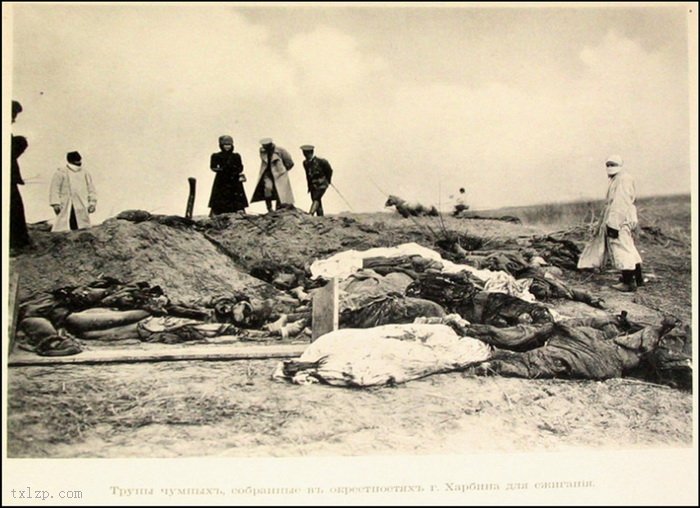 图片[7]-The tragic scene of the pestis in Northeast China during 1910-1911-China Archive