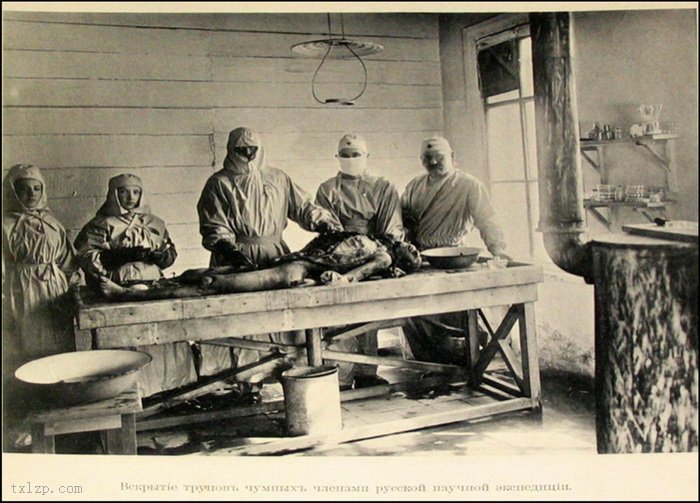 图片[6]-The tragic scene of the pestis in Northeast China during 1910-1911-China Archive