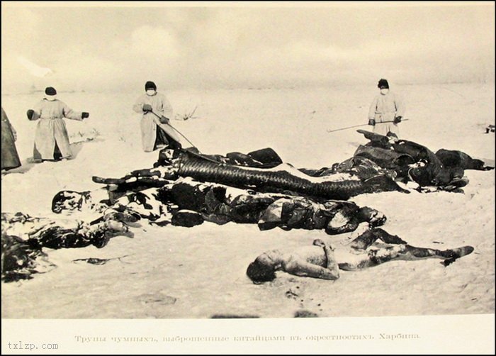 图片[8]-The tragic scene of the pestis in Northeast China during 1910-1911-China Archive