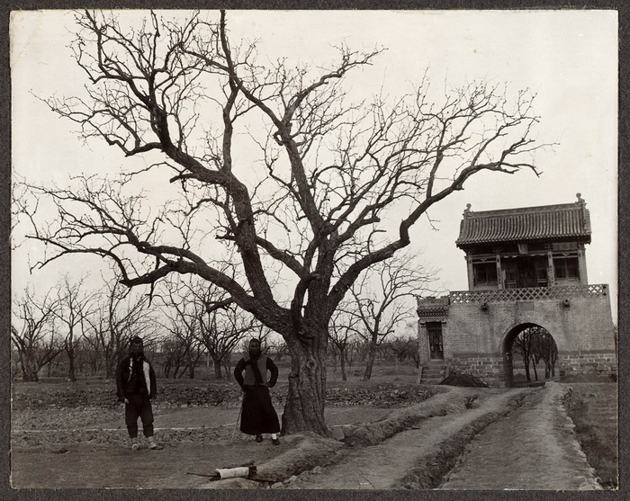 图片[1]-Photographed by Frank Meyer, an old photo of China in 1908-China Archive