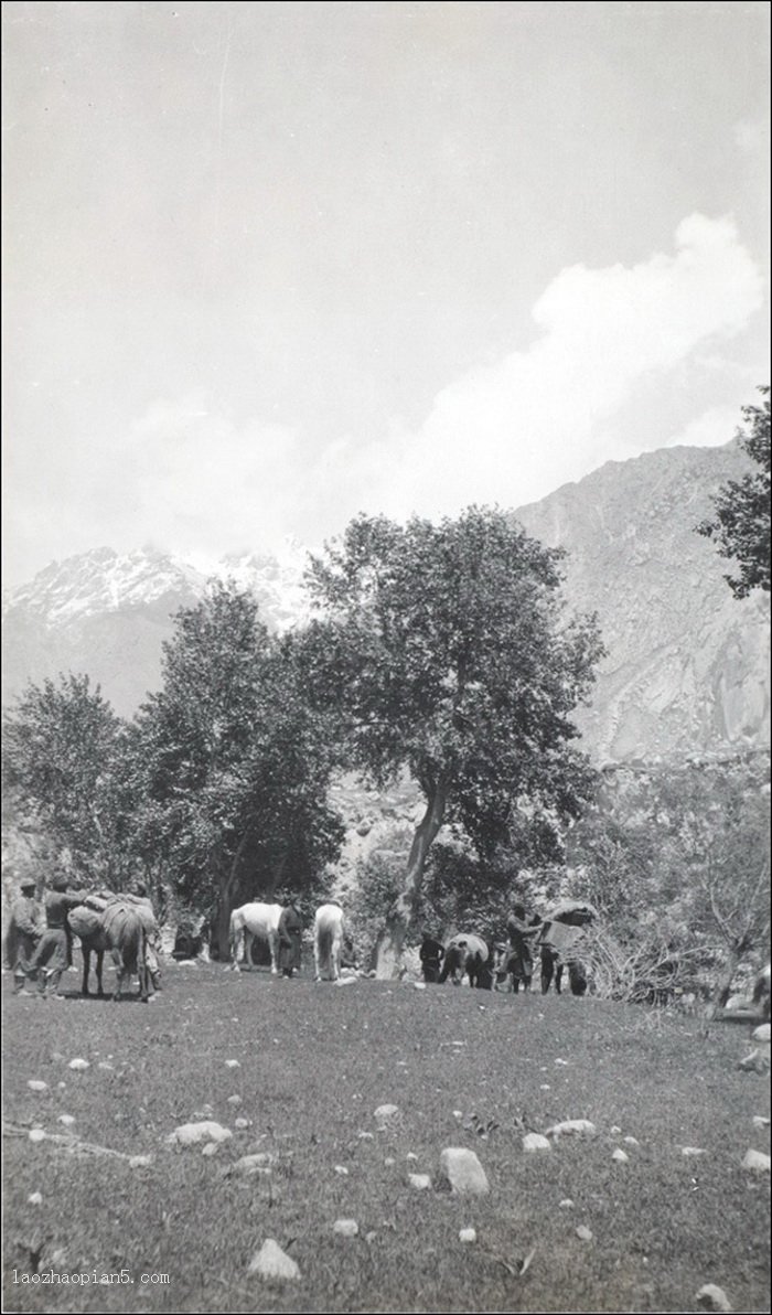 图片[11]-Old photos of Baicheng, Xinjiang in 1910 by Morrison-China Archive