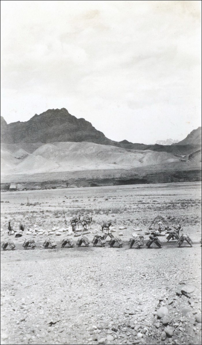 图片[5]-Photo taken by Morrison in 1910 in the landscape of Yierkeshtan Mountain Area, Xinjiang-China Archive