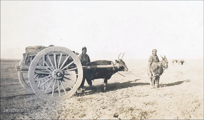 图片[8]-The old photo of Ganzhou, Gansu (now Zhangye) in 1910 by Morrison-China Archive