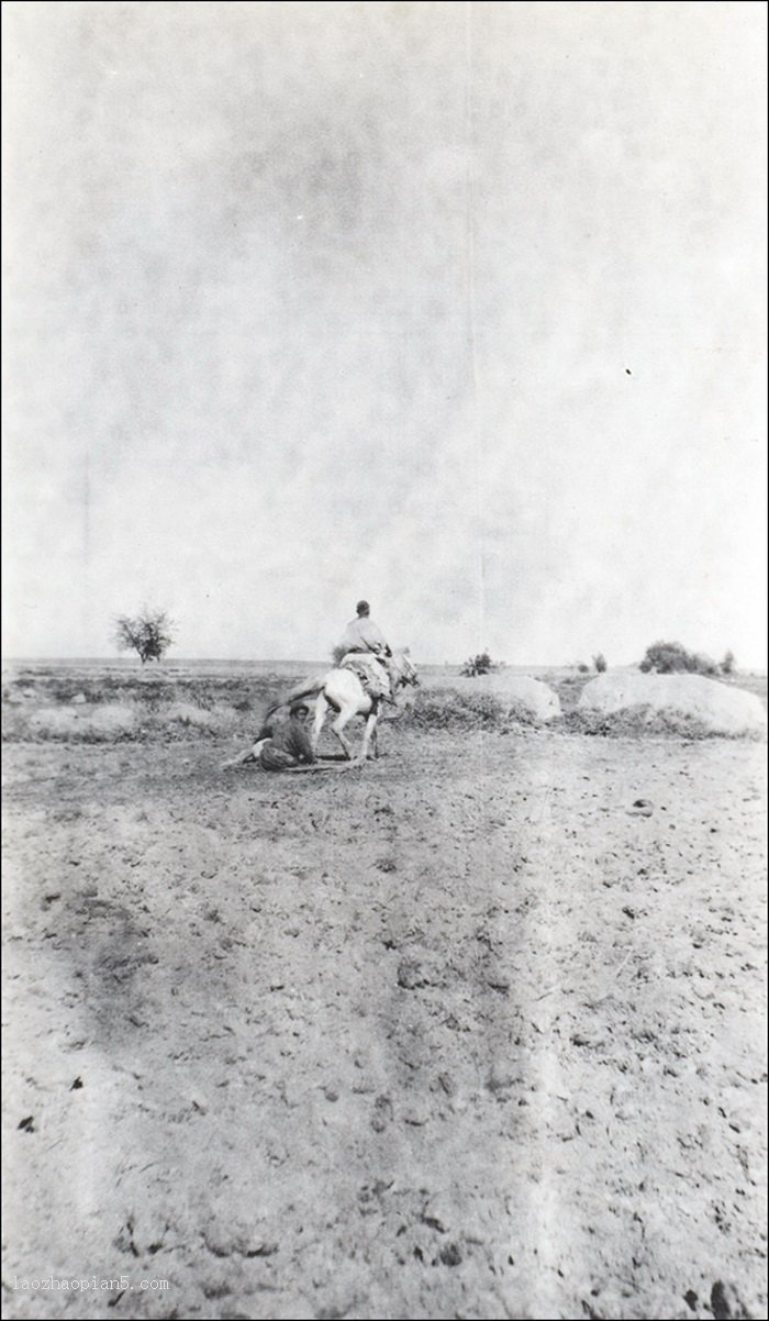 图片[10]-Old photo of Huiyuan New City (now Huocheng County), Xinjiang in 1910-China Archive