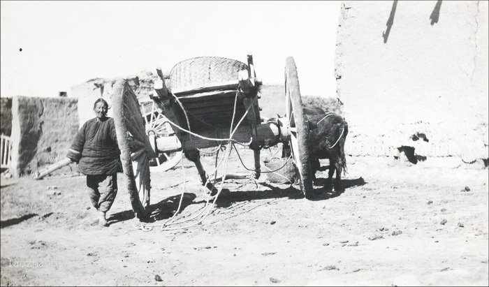 图片[4]-Photo by Morrison, an old photo of Anxi County (Guazhou), Gansu in 1910-China Archive