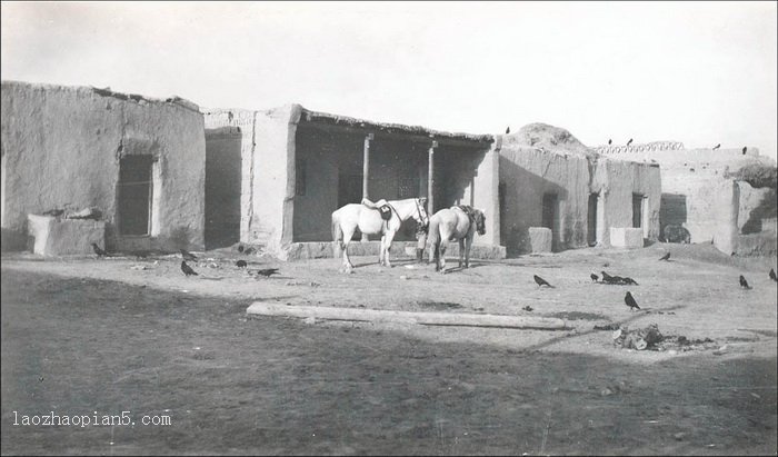 图片[6]-Photo by Morrison, an old photo of Anxi County (Guazhou), Gansu in 1910-China Archive