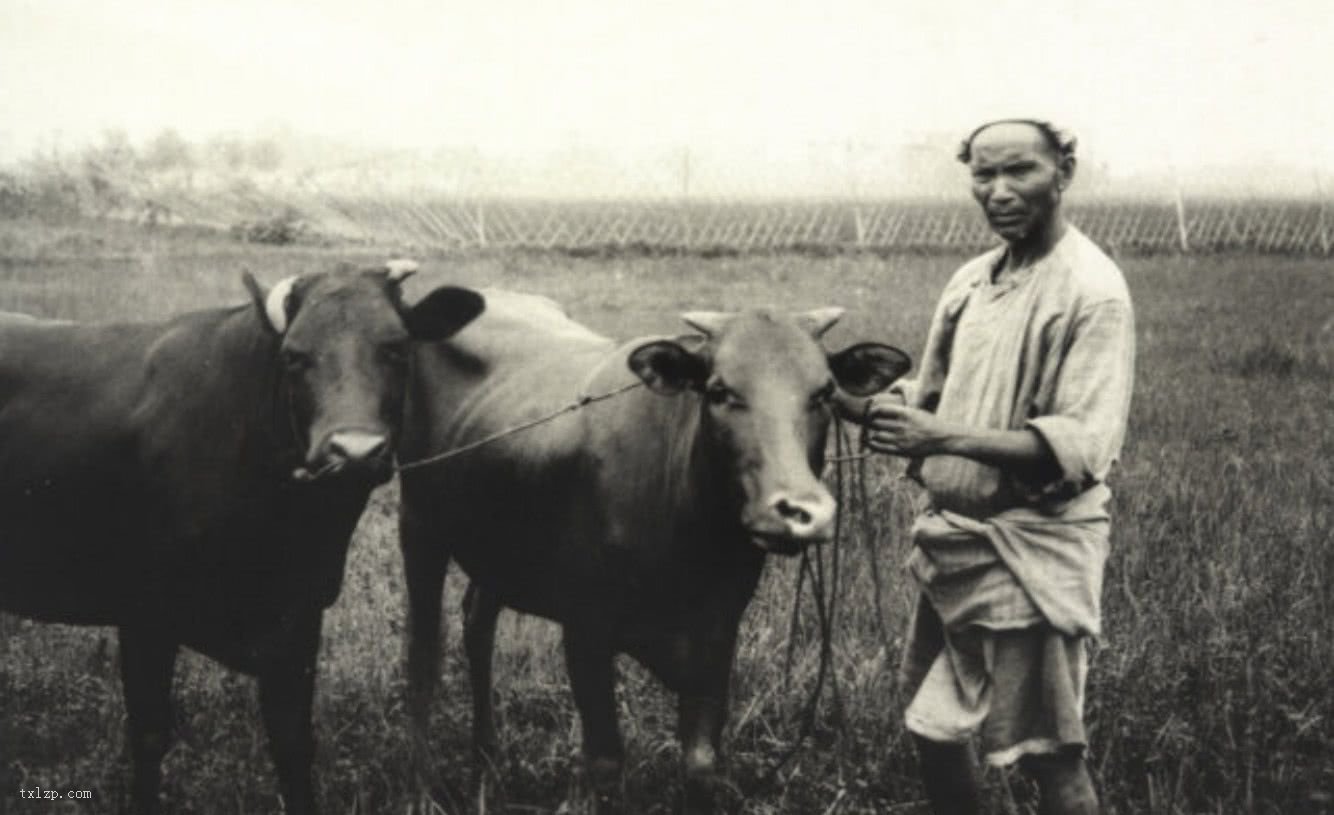 图片[3]-Old photos of Chengdu in the late Qing Dynasty in 1911-China Archive