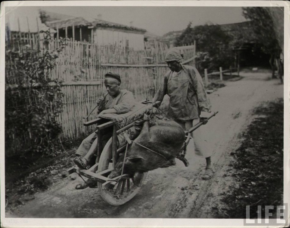 图片[20]-Old photos of social scenes in Asia and China in the eyes of Westerners in the 1850s-China Archive