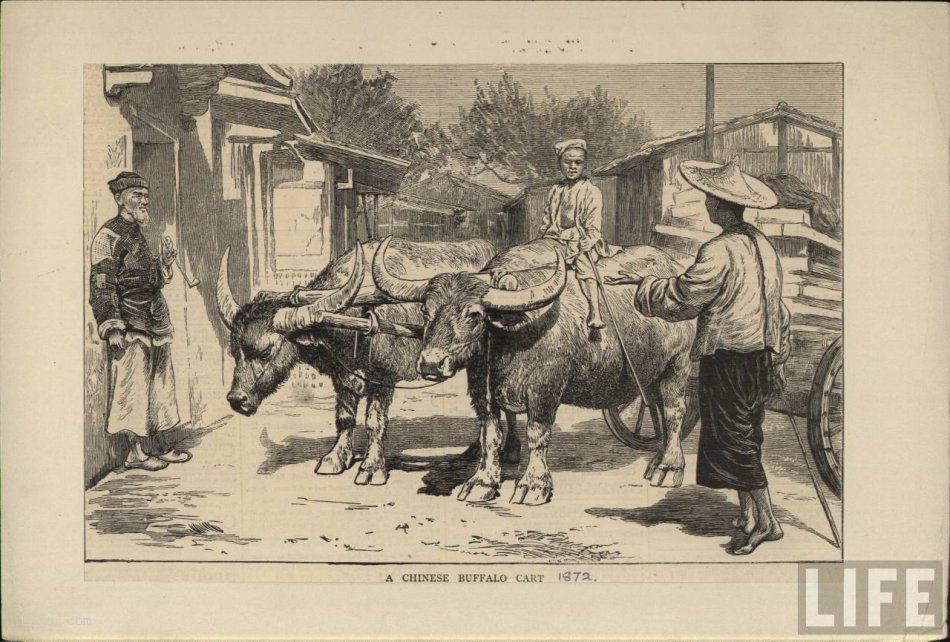 图片[8]-Social Scene Painting of Asian China in the Eyes of Westerners in the 1850s-China Archive