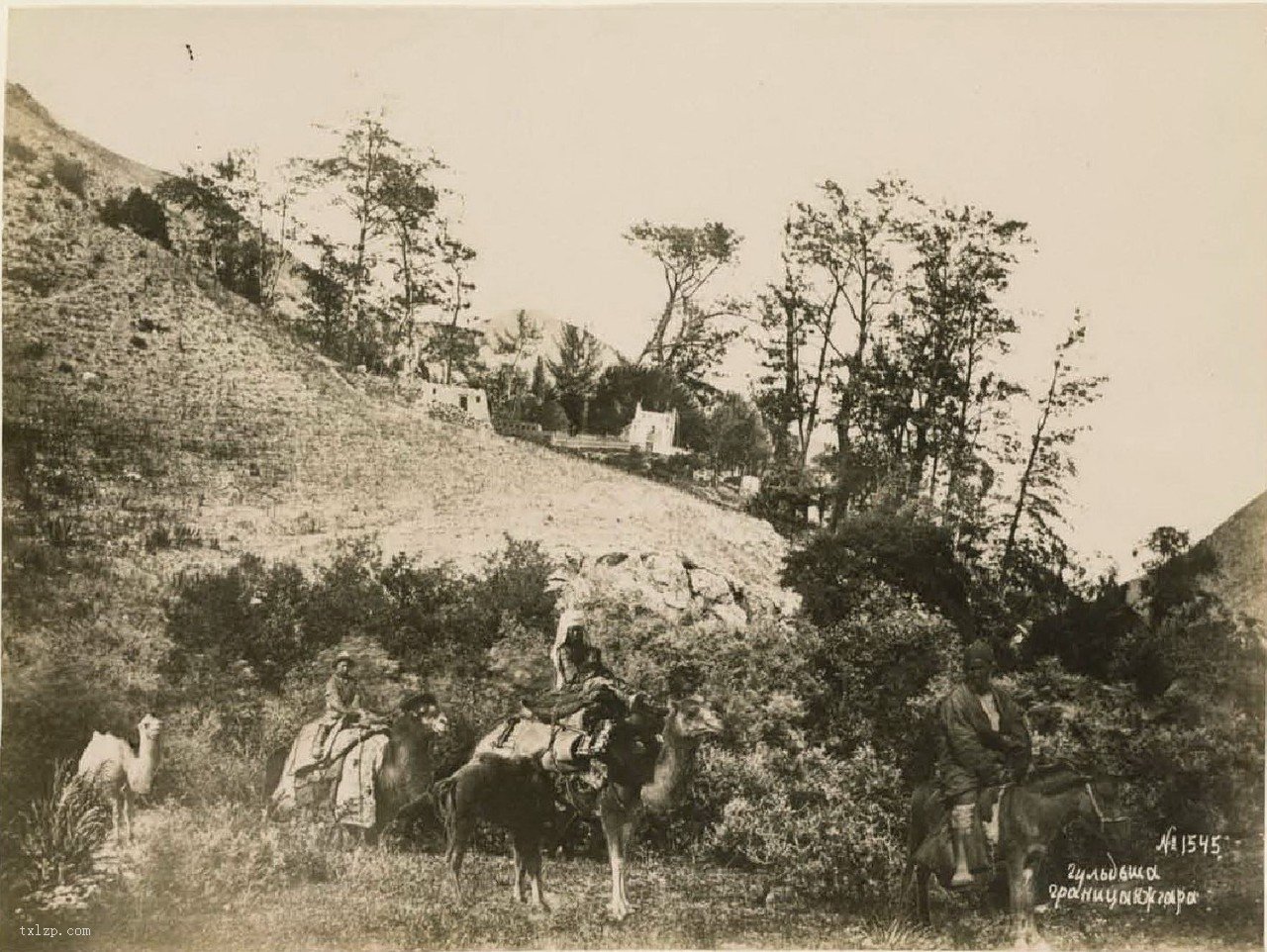 图片[14]-Old photos of Xinjiang, China, at the end of the 19th century-China Archive