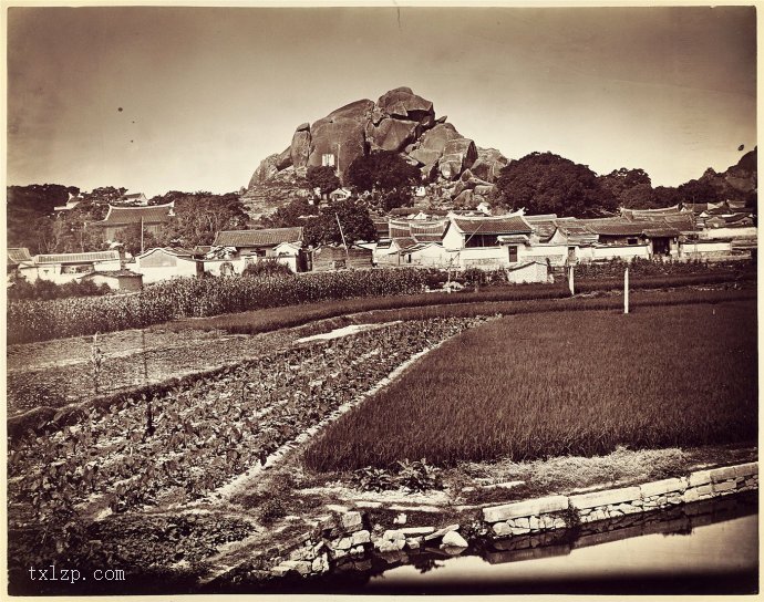 图片[3]-Old photos of the stunning scenery of Gulangyu Island in Xiamen in 1880 (middle)-China Archive