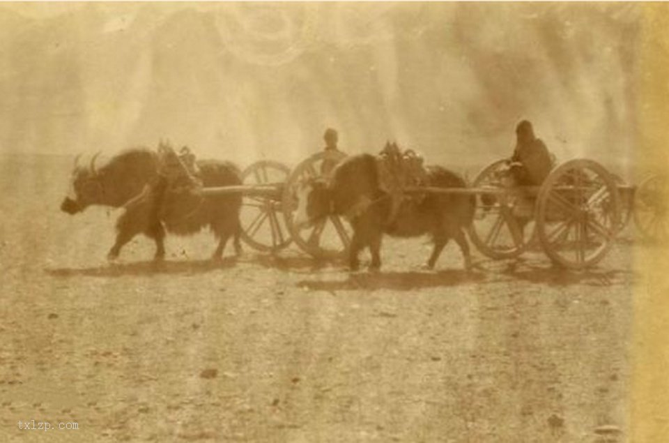 图片[4]-Old photo | A glimpse of the British invasion of Tibet in 1903-China Archive