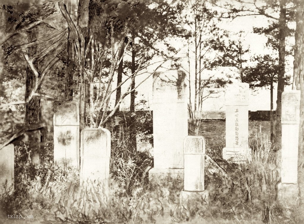 图片[2]-Old photos of life and scenery of Beijing in 1874 at the end of the Qing Dynasty-China Archive