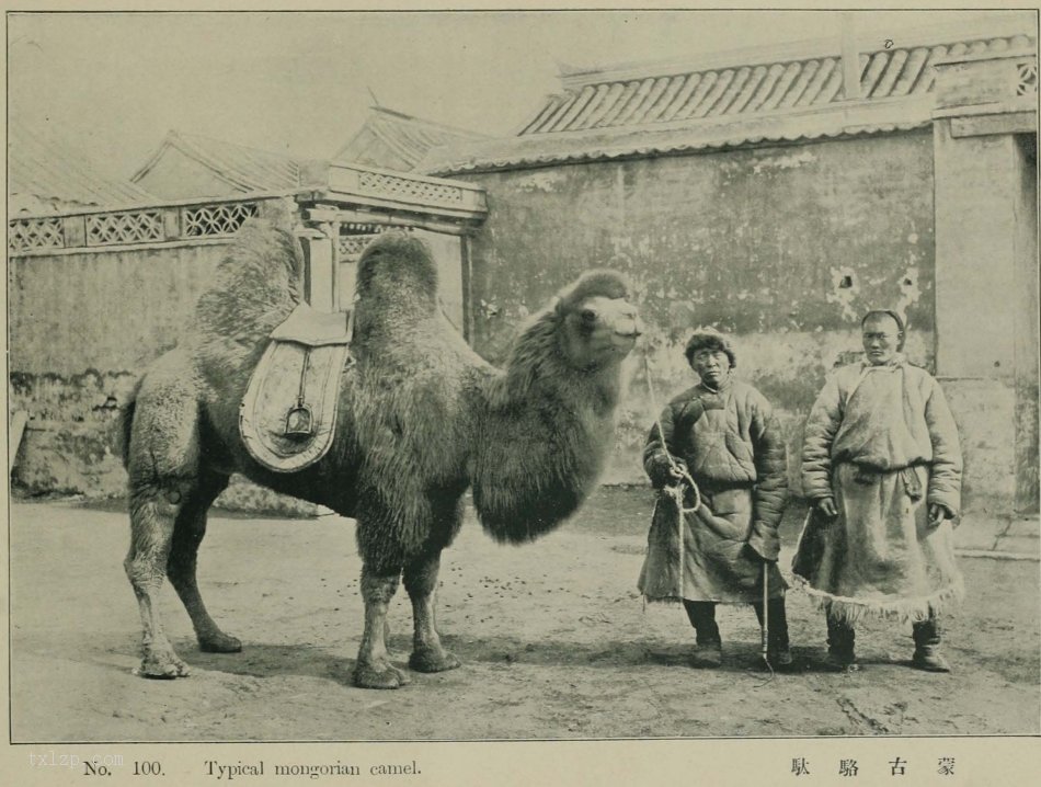 图片[16]-Old photos of famous places in Beijing in 1906 (IV)-China Archive