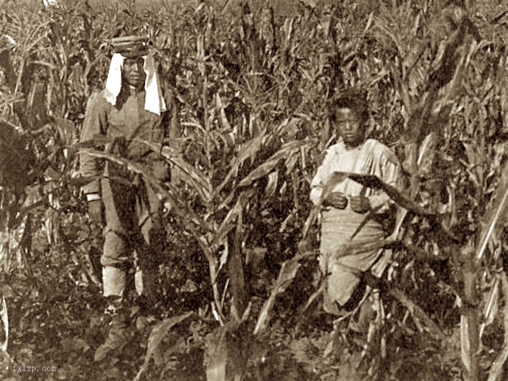 图片[2]-Old photos of Lushunkou, Liaoning, 1904-1905-China Archive